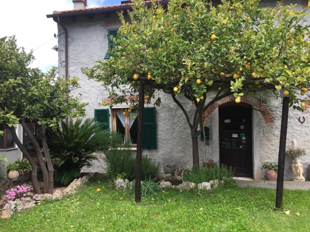 Agriturismo I Lamoi Finale Ligure Buitenkant foto