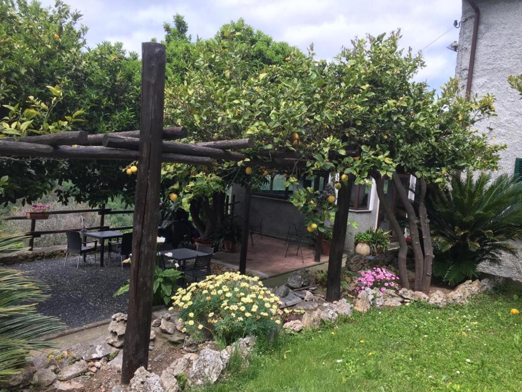 Agriturismo I Lamoi Finale Ligure Buitenkant foto